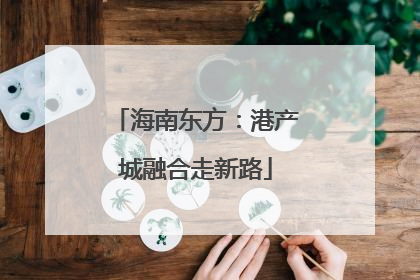 海南东方：港产城融合走新路