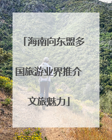 海南向东盟多国旅游业界推介文旅魅力
