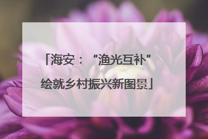 海安：“渔光互补” 绘就乡村振兴新图景