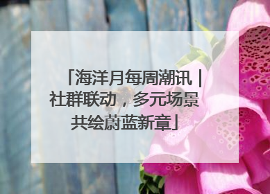 海洋月每周潮讯｜社群联动，多元场景共绘蔚蓝新章