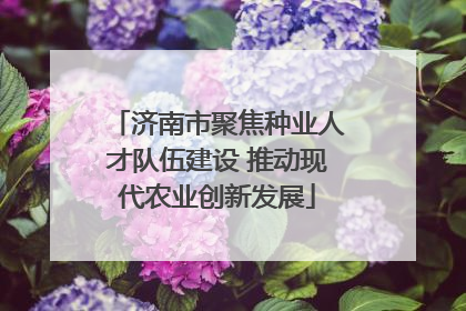 济南市聚焦种业人才队伍建设 推动现代农业创新发展