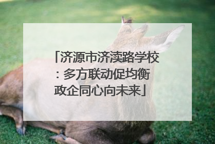 济源市济渎路学校：多方联动促均衡 政企同心向未来