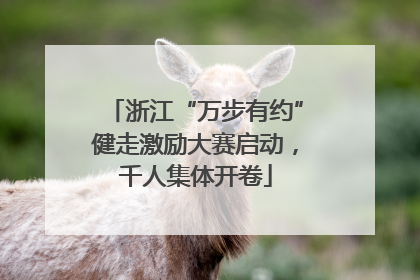 浙江“万步有约”健走激励大赛启动，千人集体开卷
