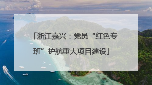 浙江嘉兴：党员“红色专班”护航重大项目建设