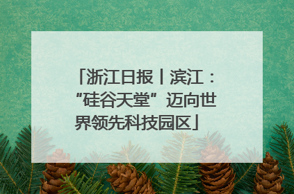 浙江日报丨滨江：“硅谷天堂”迈向世界领先科技园区