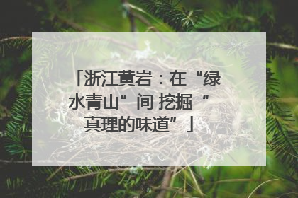 浙江黄岩：在“绿水青山”间 挖掘“真理的味道”