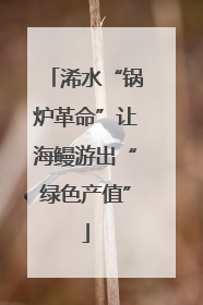 浠水“锅炉革命”让海鳗游出“绿色产值”