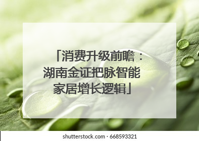消费升级前瞻：湖南金证把脉智能家居增长逻辑