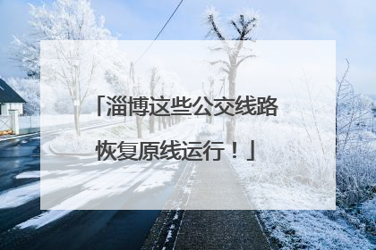 淄博这些公交线路恢复原线运行！