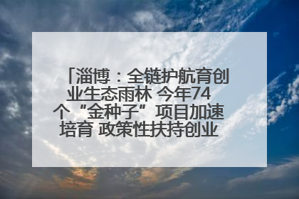 淄博：全链护航育创业生态雨林 今年74个“金种子”项目加速培育 政策性扶持创业9754人