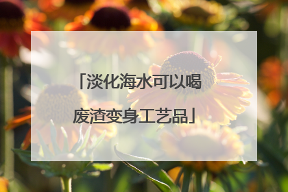 淡化海水可以喝 废渣变身工艺品