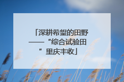 深耕希望的田野——“综合试验田”里庆丰收