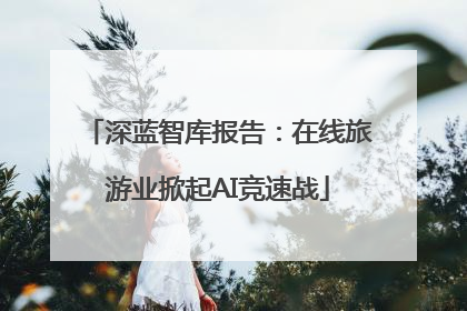 深蓝智库报告：在线旅游业掀起AI竞速战
