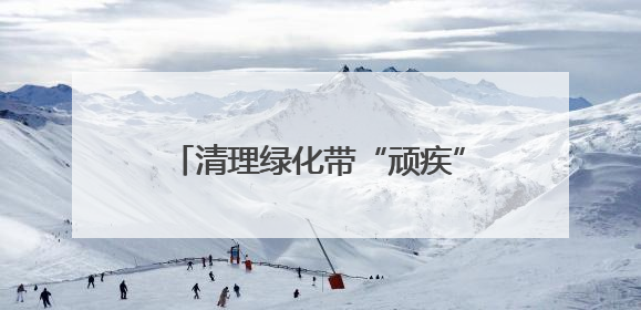 清理绿化带“顽疾”，共筑社区宜居环境