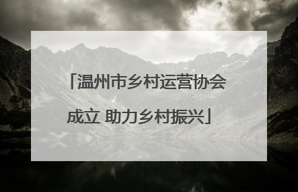 温州市乡村运营协会成立 助力乡村振兴