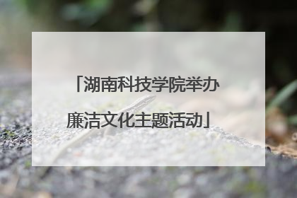 湖南科技学院举办廉洁文化主题活动