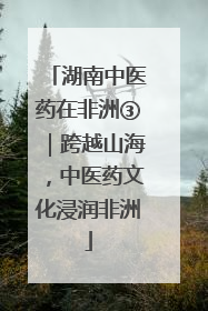 湖南中医药在非洲③｜跨越山海，中医药文化浸润非洲