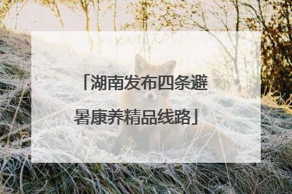 湖南发布四条避暑康养精品线路