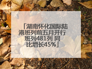 湖南怀化国际陆港班列前五月开行班列481列 同比增长45%