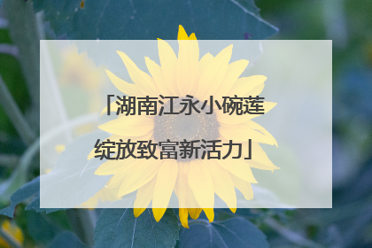 湖南江永小碗莲绽放致富新活力