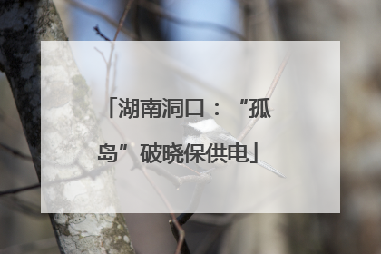 湖南洞口：“孤岛”破晓保供电