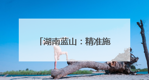湖南蓝山：精准施策促就业 校企实现“双向奔赴”