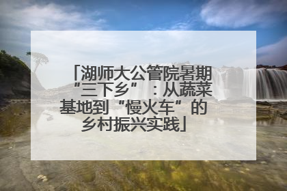 湖师大公管院暑期“三下乡”：从蔬菜基地到“慢火车”的乡村振兴实践