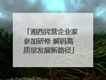 湘西民营企业家参加研修 解码高质量发展新路径