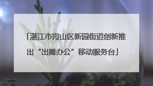 湛江市霞山区新园街道创新推出“出摊办公”移动服务台