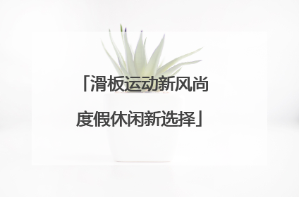 滑板运动新风尚 度假休闲新选择