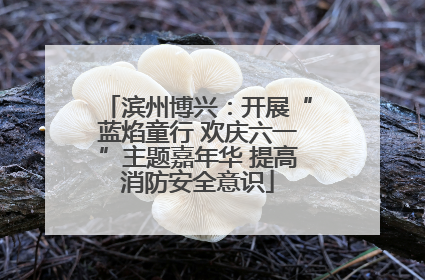 滨州博兴：开展“蓝焰童行 欢庆六一”主题嘉年华 提高消防安全意识