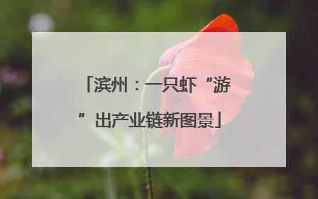 滨州：一只虾“游”出产业链新图景