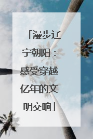 漫步辽宁朝阳：感受穿越亿年的文明交响