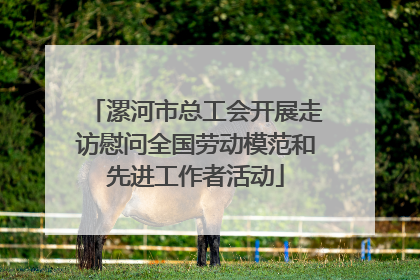 漯河市总工会开展走访慰问全国劳动模范和先进工作者活动