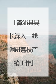 漳浦县县长深入一线调研荔枝产销工作