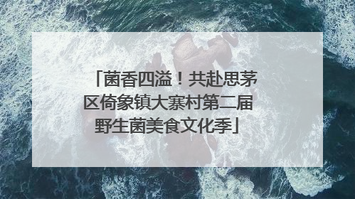 菌香四溢！共赴思茅区倚象镇大寨村第二届野生菌美食文化季