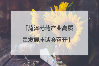 菏泽芍药产业高质量发展座谈会召开