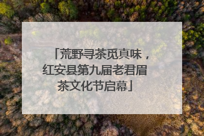 荒野寻茶觅真味，红安县第九届老君眉茶文化节启幕