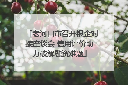 老河口市召开银企对接座谈会 信用评价助力破解融资难题