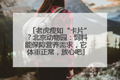 老虎瘦如“卡片”？北京动物园：饲料能保障营养需求，它体重正常，放心吧