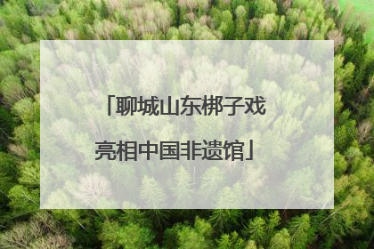 聊城山东梆子戏亮相中国非遗馆