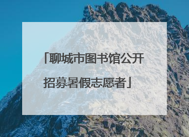 聊城市图书馆公开招募暑假志愿者