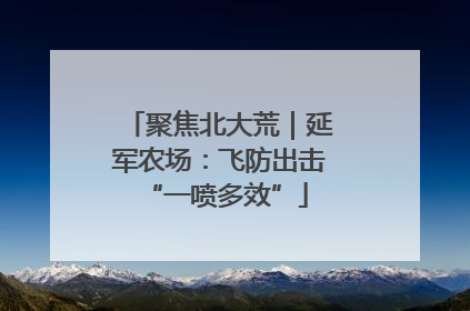 聚焦北大荒｜延军农场：飞防出击 “一喷多效”