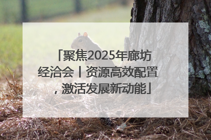 聚焦2025年廊坊经洽会丨资源高效配置，激活发展新动能