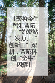 聚势金牛 智汇普陀〡“始发站”发力、“创新田”深耕，普陀科创“金牛”闪耀