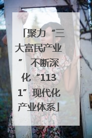 聚力“三大富民产业” 不断深化“1131”现代化产业体系