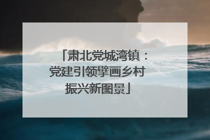 肃北党城湾镇：党建引领擘画乡村振兴新图景