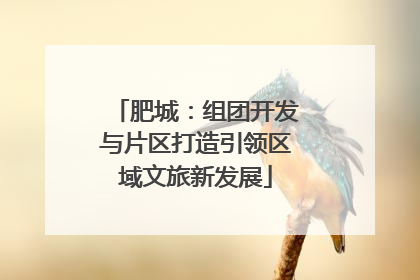 肥城：组团开发与片区打造引领区域文旅新发展
