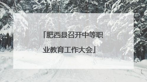 肥西县召开中等职业教育工作大会