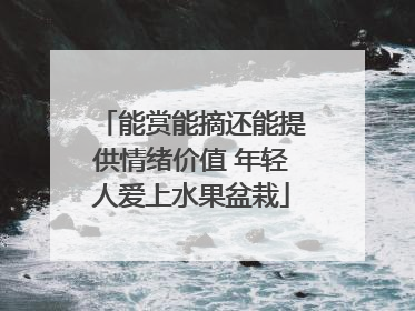 能赏能摘还能提供情绪价值 年轻人爱上水果盆栽